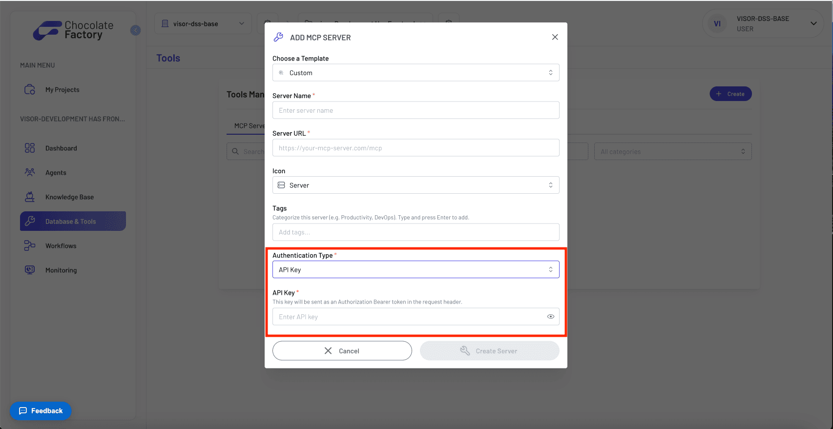 MCP Server Auth Settings